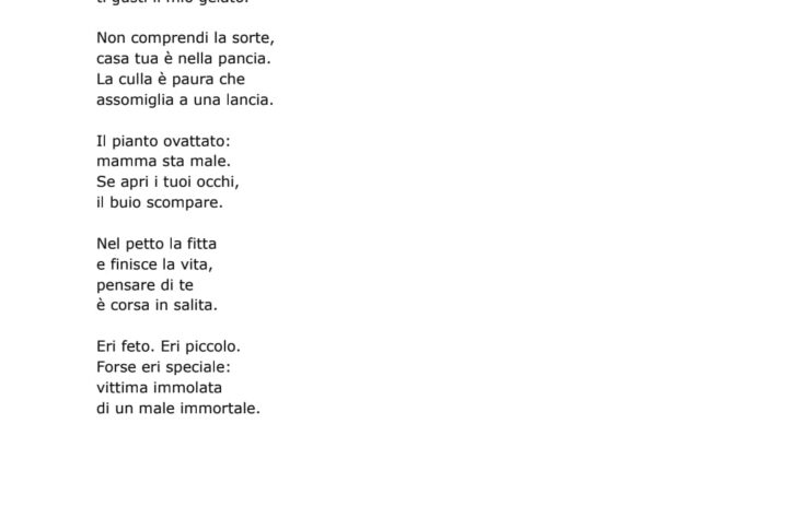 1 testo poesia Davide Bodi 1 PREMIO